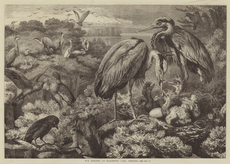 La garza en Didlington Park, Norfolk de Samuel John Carter