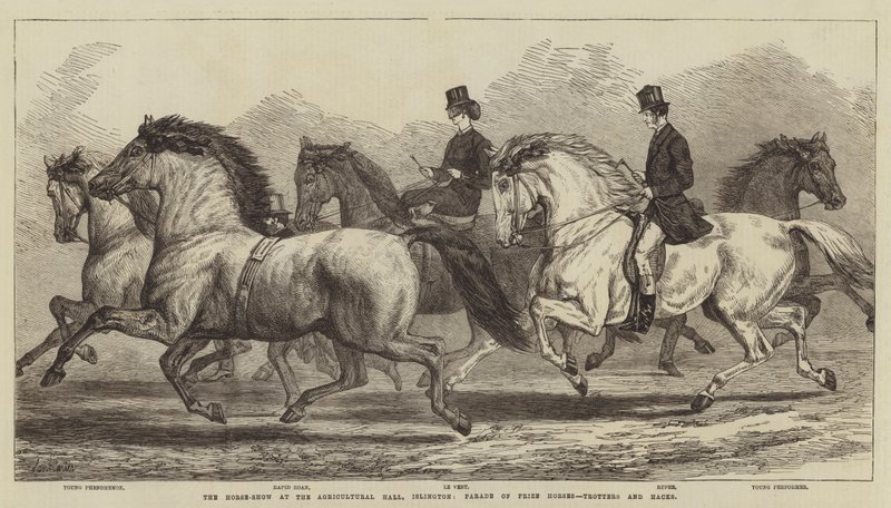 La exposición de caballos en el Agricultural Hall, Islington, desfile de caballos premiados, trotadores y hacks de Samuel John Carter