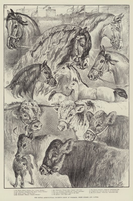 Exposición de la Sociedad Real de Agricultura en Windsor, Caballos y Ganado Premiados de Samuel John Carter
