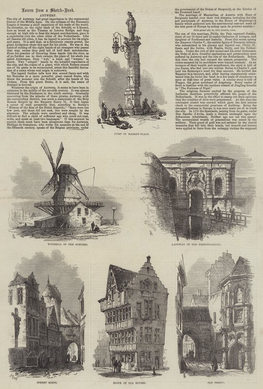 Amberes de Samuel Read