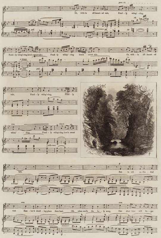 Eco de Samuel Read
