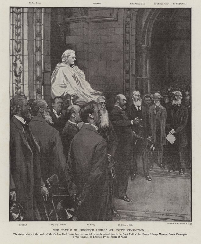 La estatua del Profesor Thomas Henry Huxley en el Gran Salón del Museo de Historia Natural, South Kensington, Londres de Sidney Paget