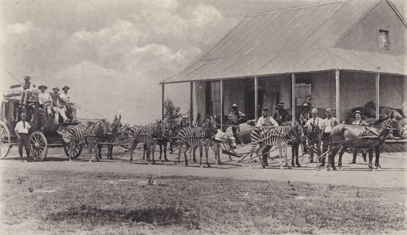 Un Medio de Transporte Novel, Cebras tirando del Carruaje de Correos de South African Photographer