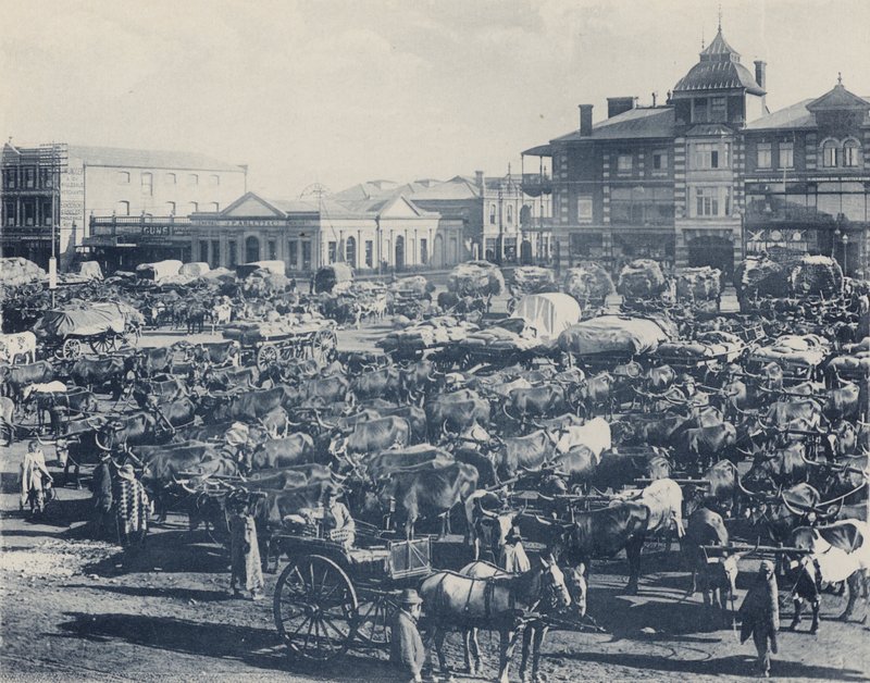 Mercado de la Mañana Temprano (foto en blanco y negro) de South African Photographer