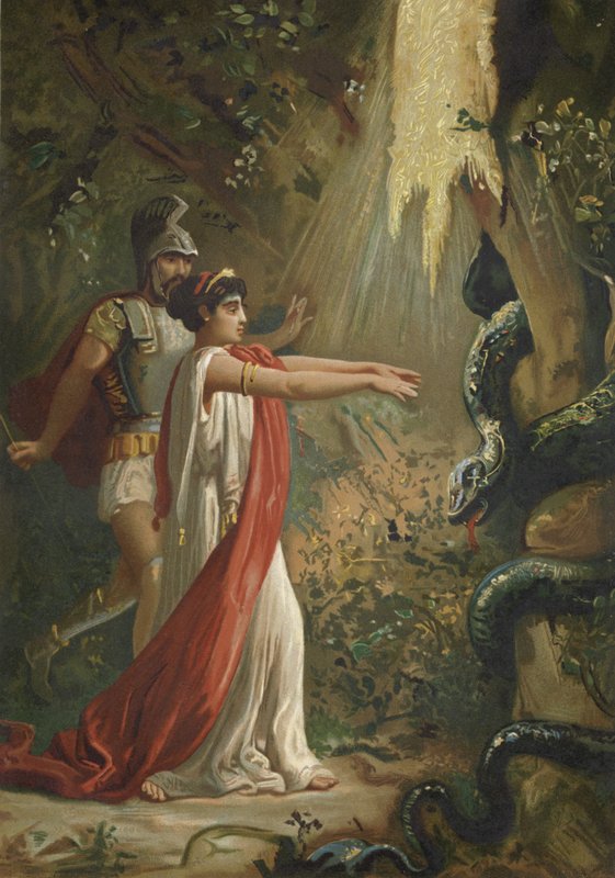 Medea durmiendo al dragón que guarda el Vellocino de Oro de Spanish School