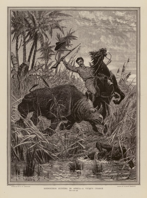 Caza del rinoceronte en África (grabado) de Stanley (after) Berkeley