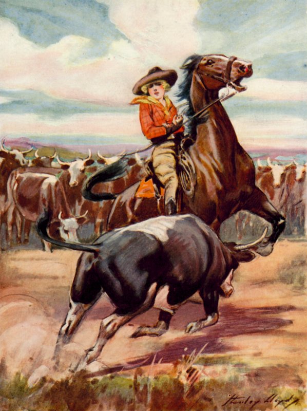 Escena de A merced de los bandoleros: una vaquera a caballo es embestida por un gran buey (litografía en color). de Stanley Lloyd