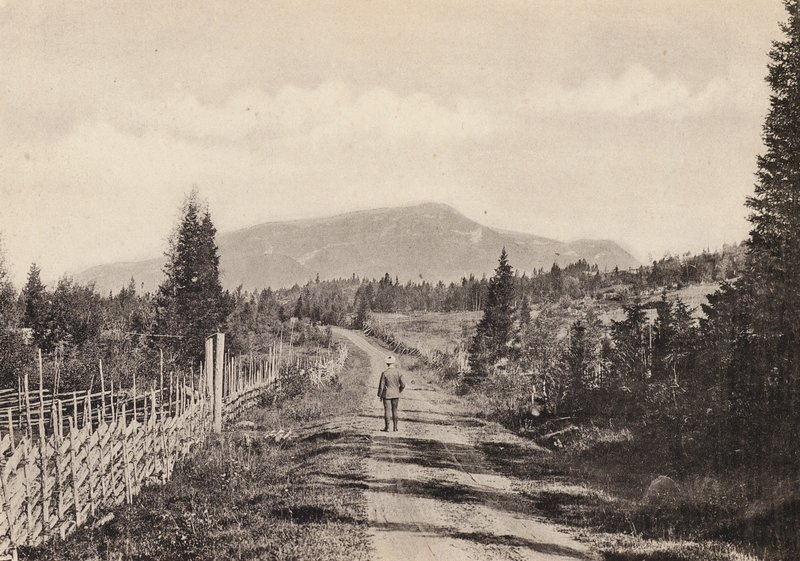 Suecia: Jamtland, Areskutan Fran Undersaker (fotografía en b/n) de Swedish Photographer