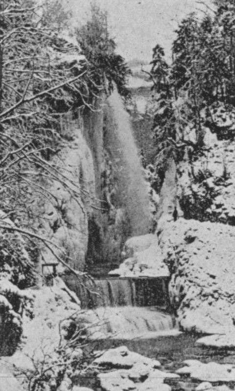 Las gargantas de Taubenloch, cerca de Bienne en invierno de Swiss Photographer