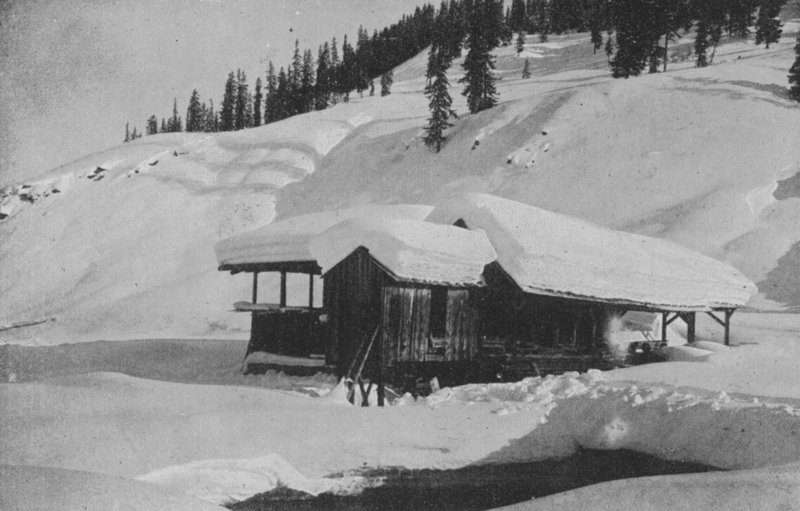 Aserradero cerca de Davos de Swiss Photographer