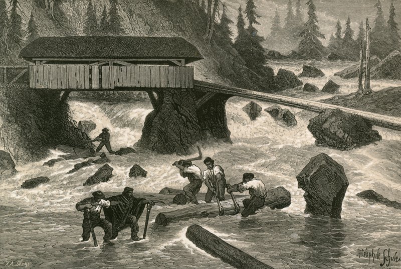 Flotadores de madera de Swiss School