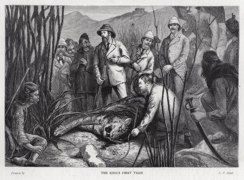 El Rey Eduardo VII con el tigre que ha matado de Sydney Prior (after) Hall