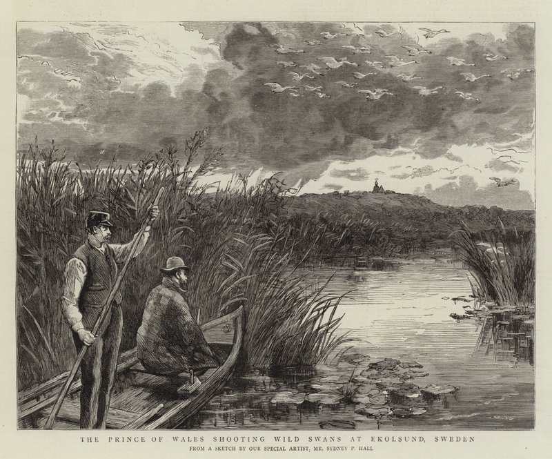El Príncipe de Gales cazando cisnes salvajes en Ekolsund, Suecia de Sydney Prior Hall