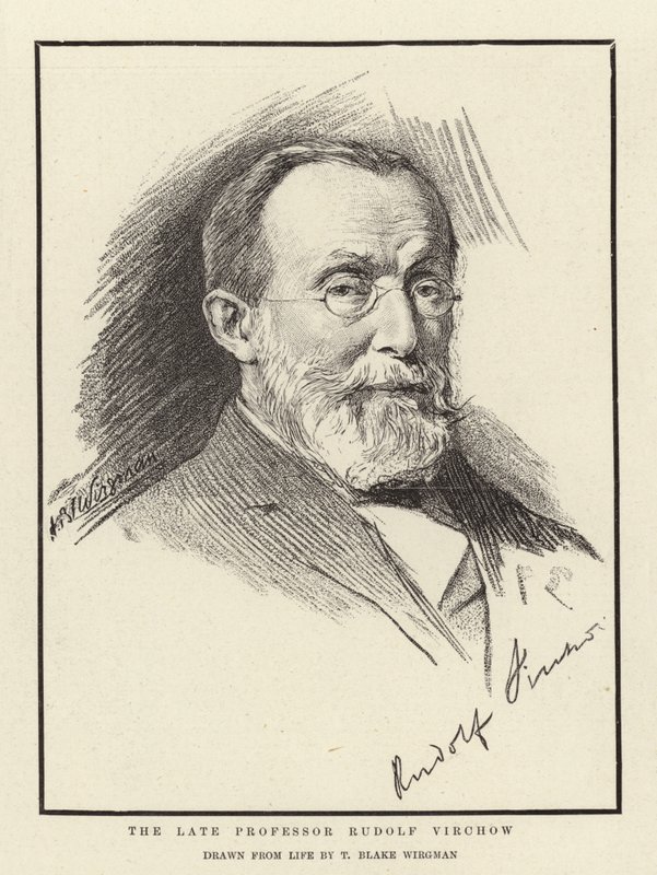 El difunto profesor Rudolf Virchow de Theodore Blake Wirgman