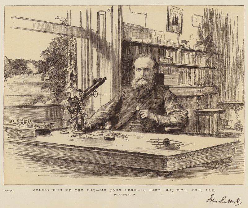 Celebridades del día, Sir John Lubbock, Baronet, MP, DCL, FRS, LLD de Theodore Blake Wirgman
