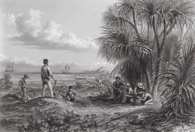 Australia: Campamento de exploradores (grabado) de Thomas (after) Baines