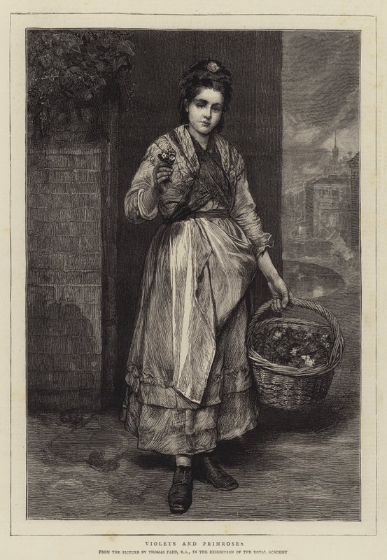 Violetas y prímulas de Thomas Faed