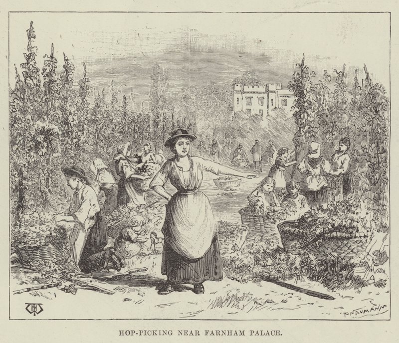 Recolección de lúpulo cerca del Palacio de Farnham de Thomas Harrington Wilson