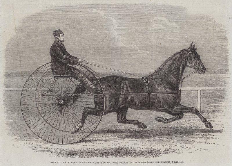 Jackey, el ganador de las últimas Aintree Trotting Stakes en Liverpool de Thomas Harrington Wilson