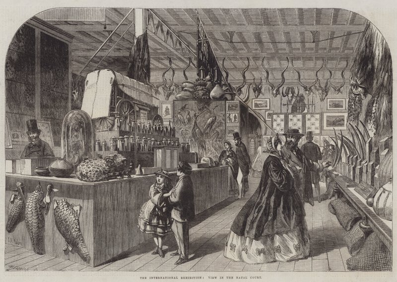 La Exposición Internacional, Vista en la Corte de Natal de Thomas Harrington Wilson