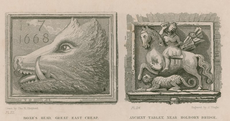 Cabeza de jabalí y antigua tableta de Thomas Hosmer Shepherd
