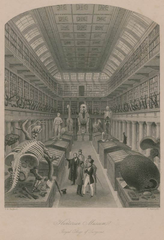 Museo Hunterian, Real Colegio de Cirujanos, Londres de Thomas Hosmer Shepherd