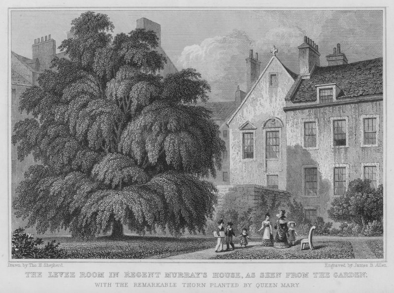 La Sala de Recepciones en la Casa de Regent Murray, vista desde el Jardín de Thomas Hosmer Shepherd