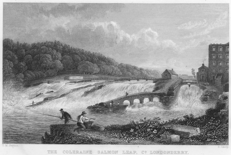 El salto del salmón de Coleraine, Condado de Londonderry de Thomas Mann (after) Baynes