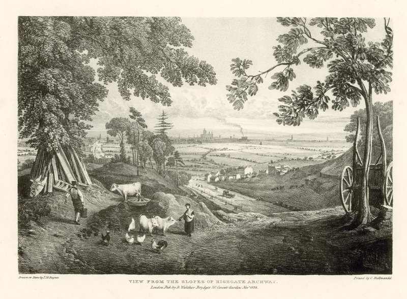 Vista desde las laderas del Arco de Highgate de Thomas Mann Baynes