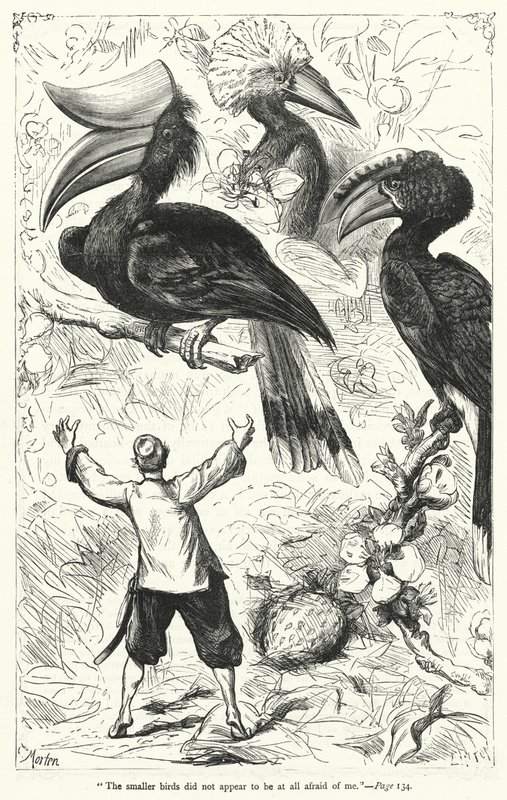 Ilustración para Los viajes de Gulliver de Jonathan Swift de Thomas Morten