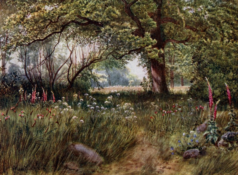 Jardines de Kew: En los jardines de la cabaña de la Reina de Thomas Mower Martin