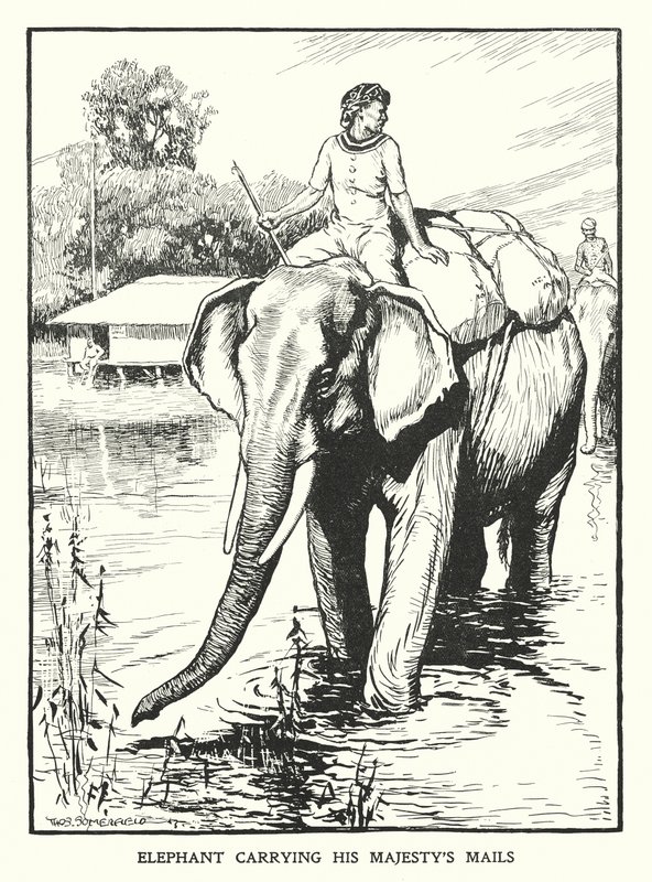 Elefante cargando el correo de Su Majestad (litografía) de Thomas Somerfield
