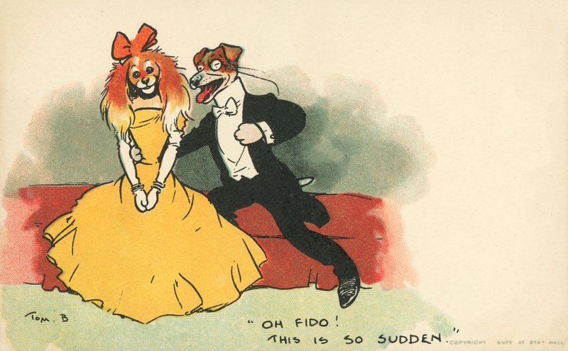 Perros vestidos como una pareja romántica de Tom Browne