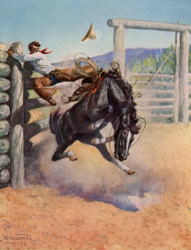 Smoky el caballo de vaca de Unbekannt Unbekannt