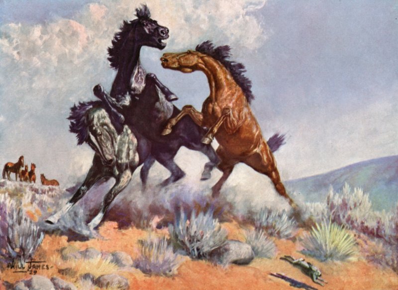Smoky el caballo de vaca de Unbekannt Unbekannt