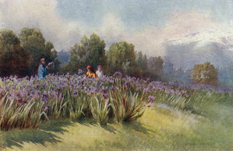 Primavera en Cachemira de Unbekannt Unbekannt