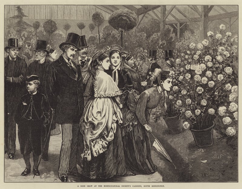 Exposición de rosas en los Jardines de la Sociedad de Horticultura, South Kensington de Valentine Walter Lewis Bromley