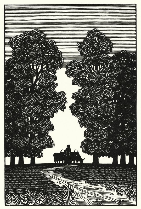 Ilustración de Tess Of The D