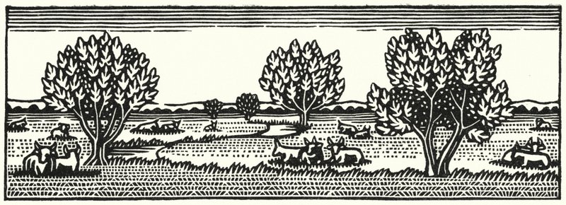 Ilustración de Tess Of The D