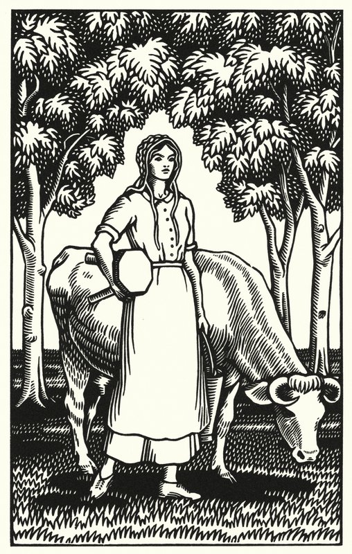Ilustración de Tess Of The D