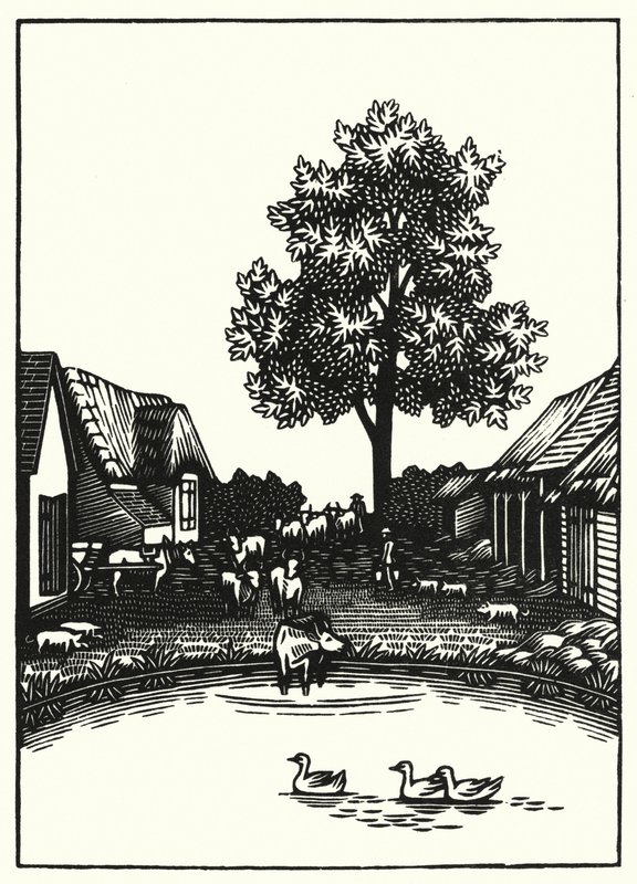 Ilustración para Tess Of The D