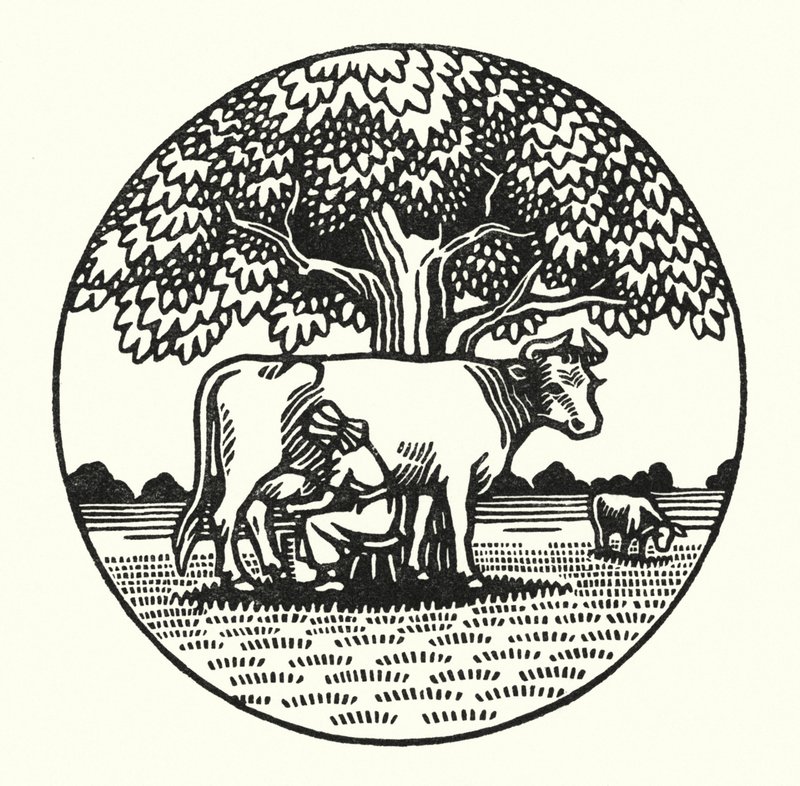 Ilustración para Tess Of The D