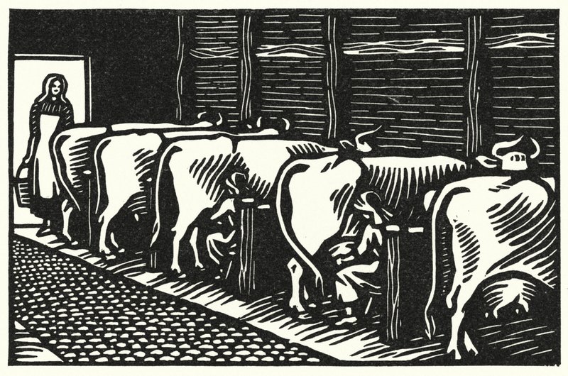 Ilustración para Tess Of The D