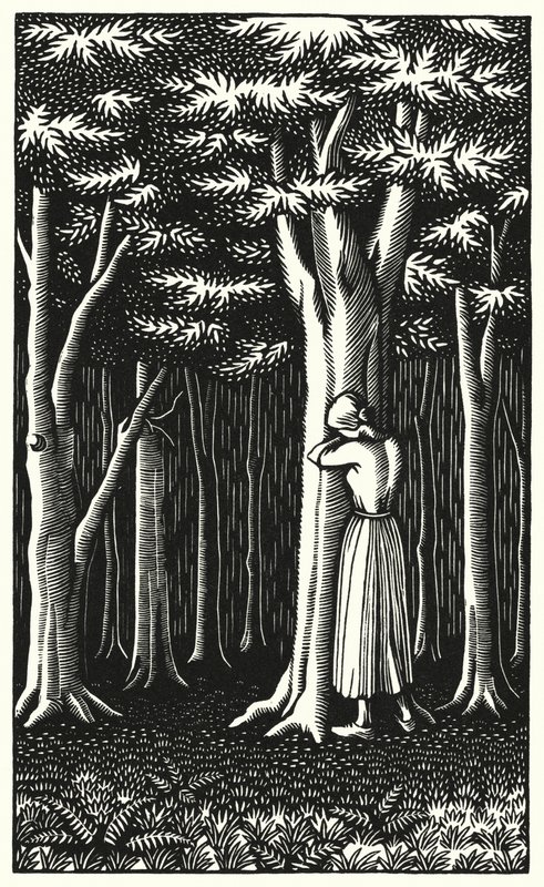 Ilustración para Tess Of The D