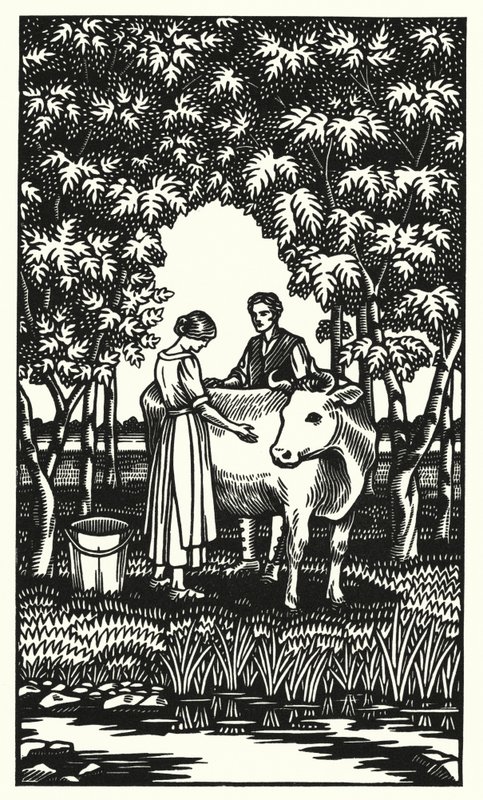 Ilustración para Tess de los d