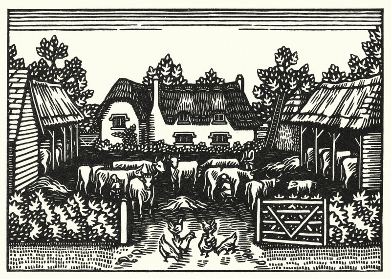 Ilustración de Tess de los D
