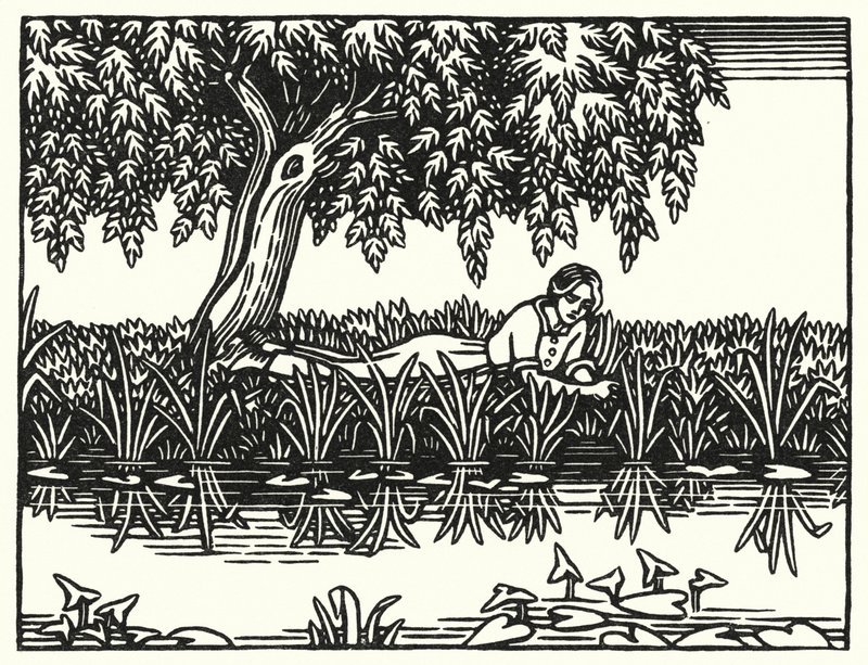 Ilustración para Tess de los d
