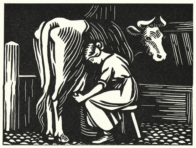 Ilustración para Tess de los d
