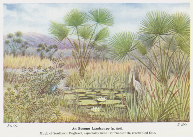Un paisaje del Eoceno (litografía en color) de W. J. Stokoe