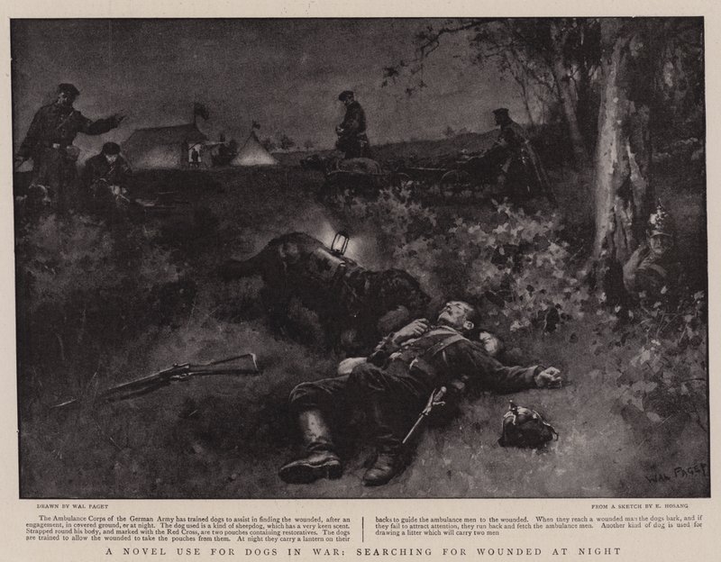 Un uso novedoso para perros en la guerra, buscando heridos por la noche de Walter Stanley Paget